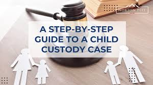 Steps to Handle Custody, Visitation, and Support Challenges Effectively
