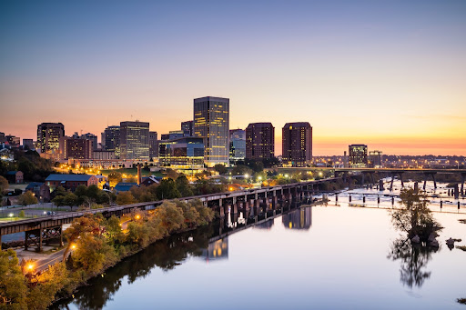 What Growing Businesses Should Demand from an IT Specialist in Richmond